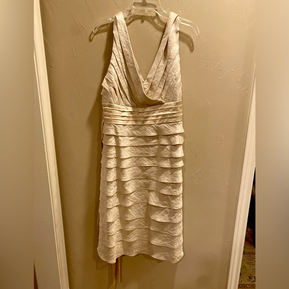 Beautiful Adrianna Papell Dress.